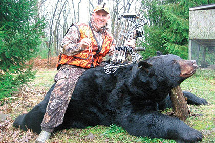 Largest Bear