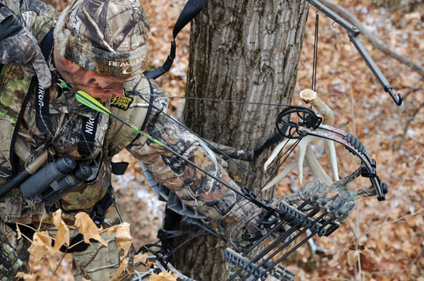 Q & A: Should I Aim Low From My Treestand?