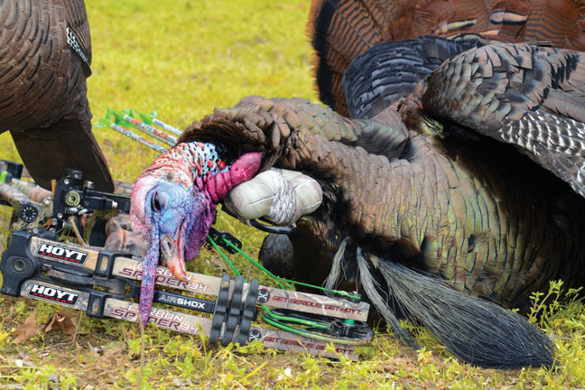 bowhunting-turkeys