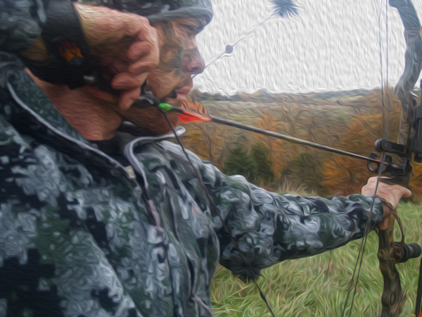 10 Great Compound Bows Under $700 