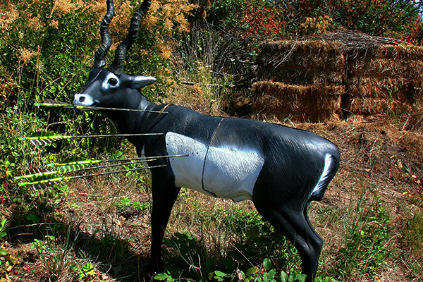 BOWHUNTING's Best Archery Targets for 2013