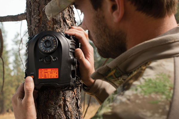 Head-to-Head Review: Best Trail Cameras of 2013