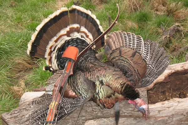 10 Best States for Turkey Hunting in 2014