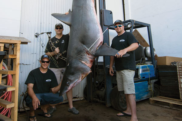 Catch of a Lifetime: Jeff Thomason's Bowfishing World Record Mako Shark