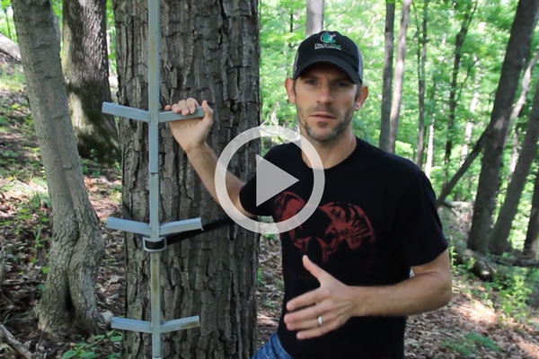 BOWHUNTING's Guide to Finding the Perfect Treestand Locations