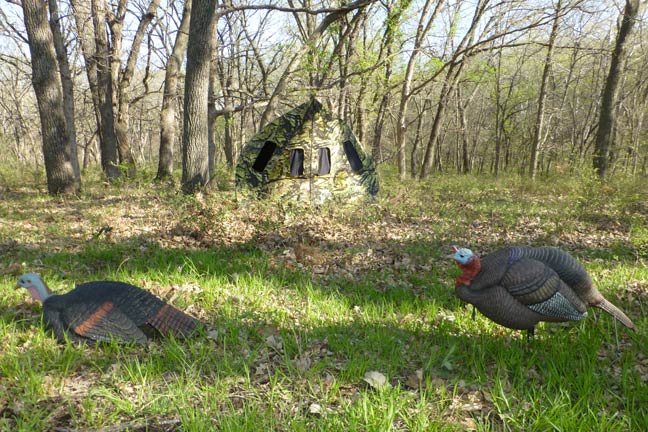 How To Plan the Perfect DIY Turkey Hunt