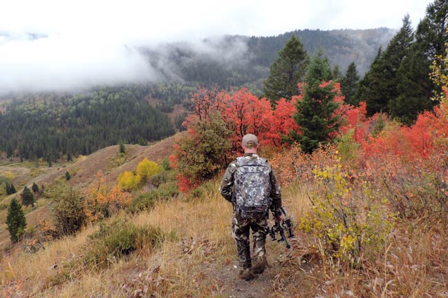 Why Deer Tactics Help With Elk-Hunting Success