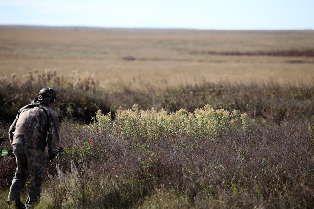 Spot-and-Stalk Success on Prairie Mule Deer Bucks