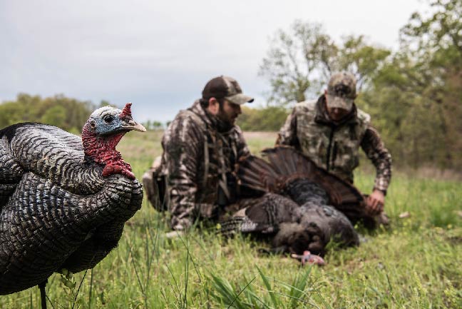 5 Reasons You're Not Arrowing Turkeys